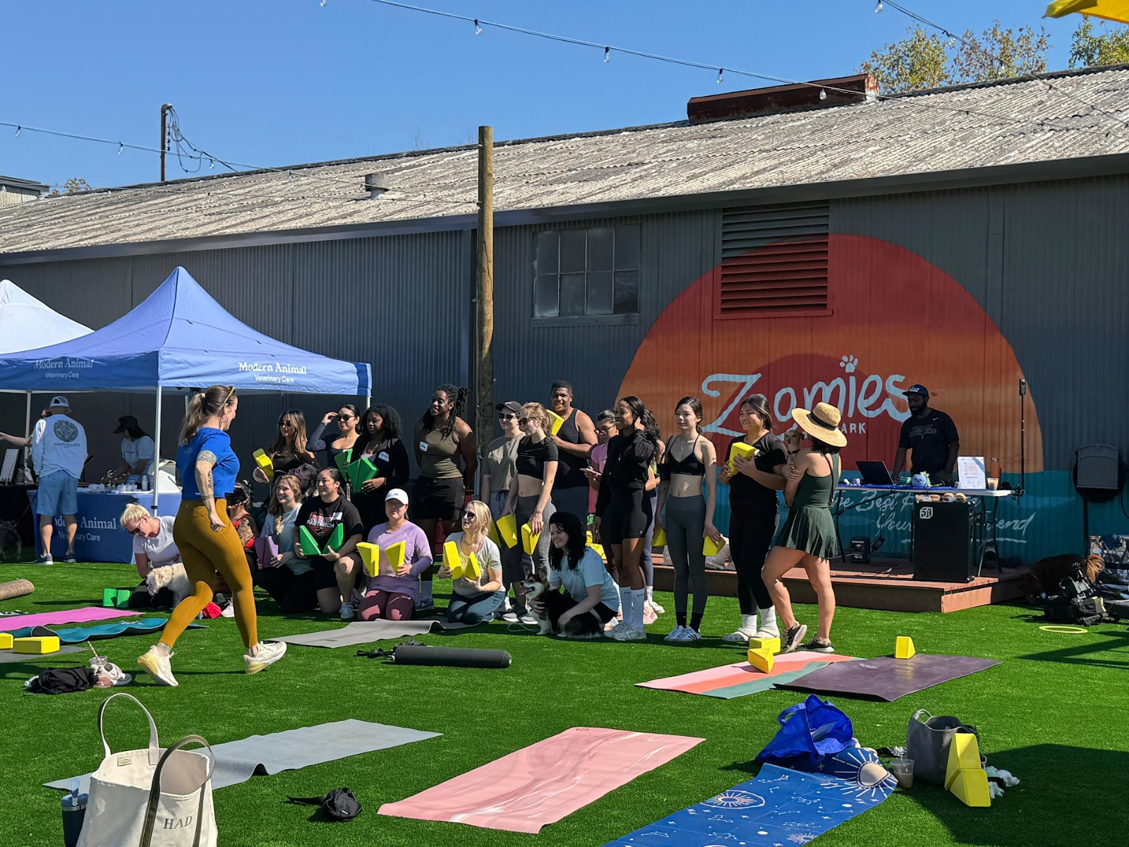 Zoomies community yoga event