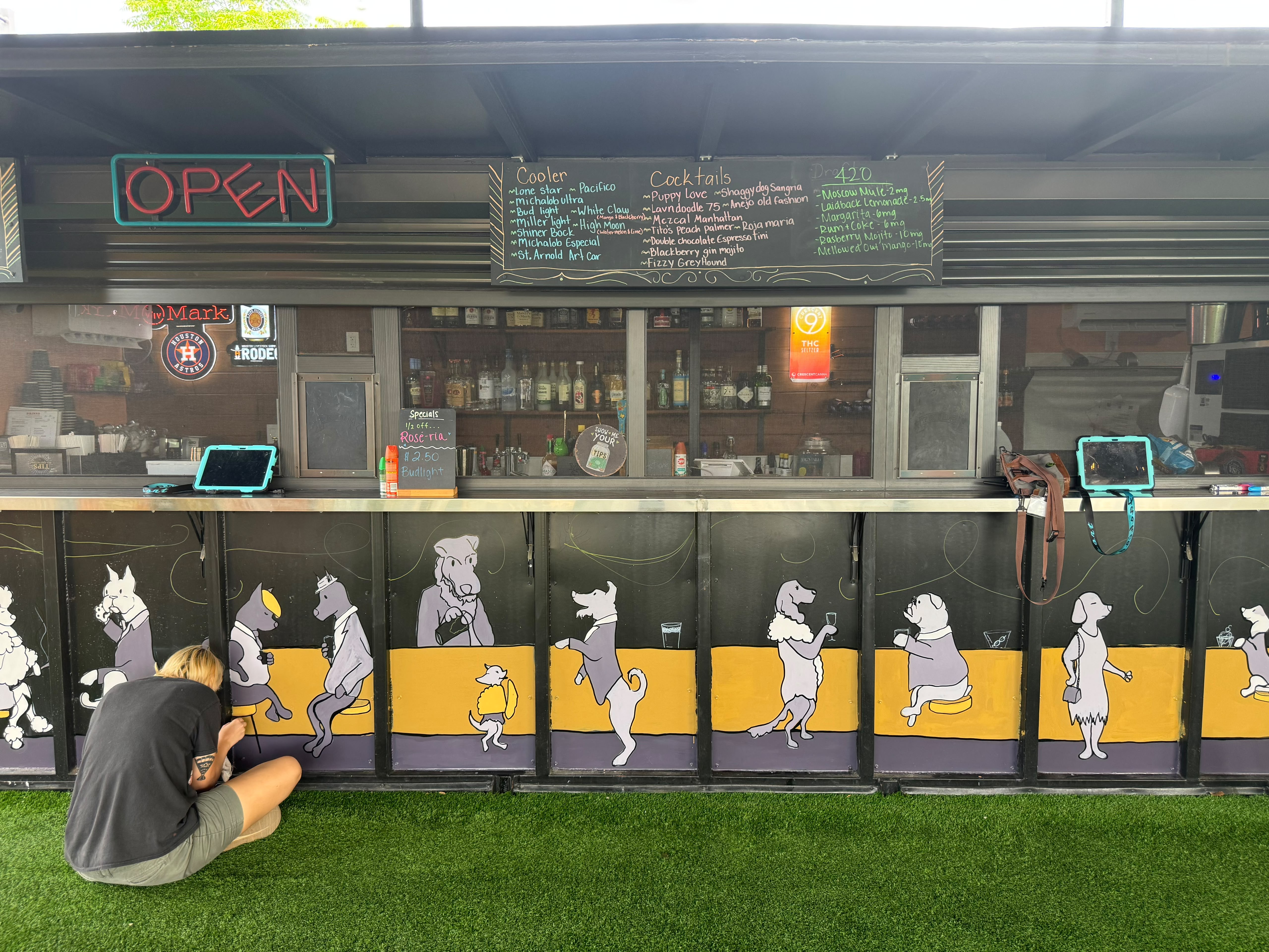The Zoomies bar with menu and dog mural