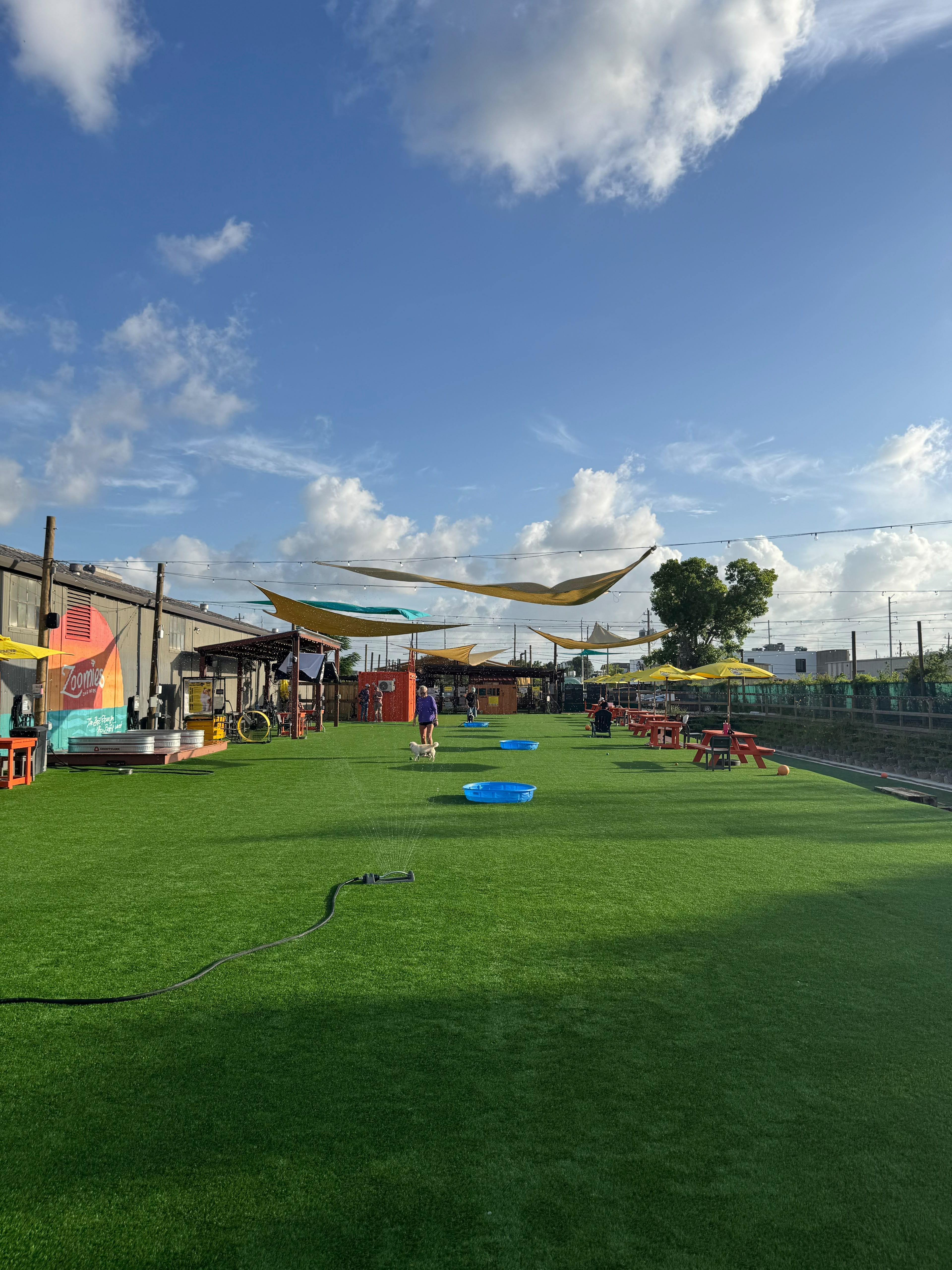 The main yard