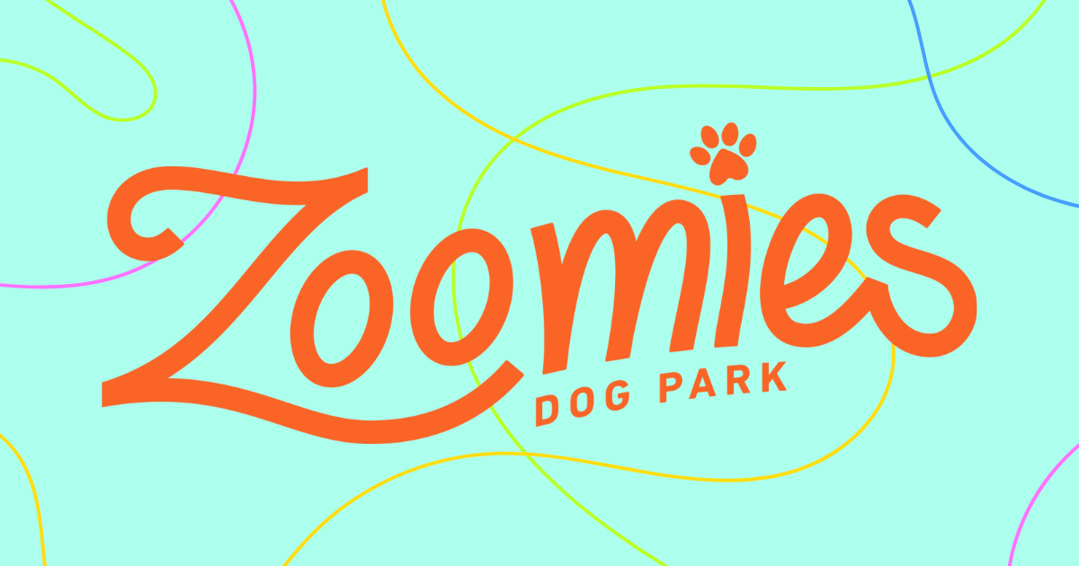 Understanding Dog Socialization: Beyond the Myths | Zoomies Dog Park ...