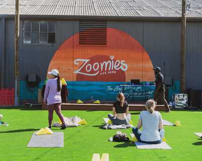 Yoga class by the Zoomies mural