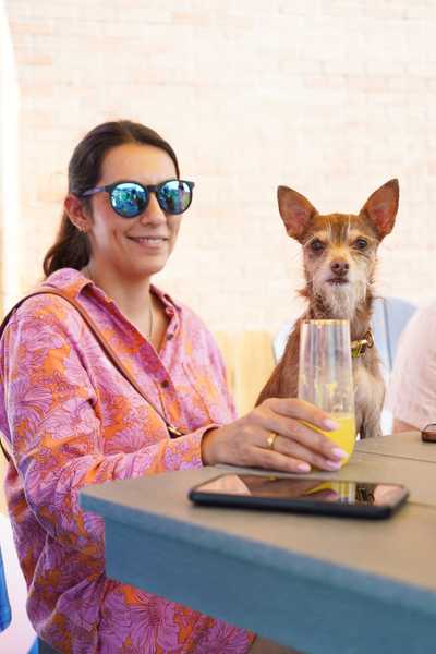 Woman with chihuahua at the bar