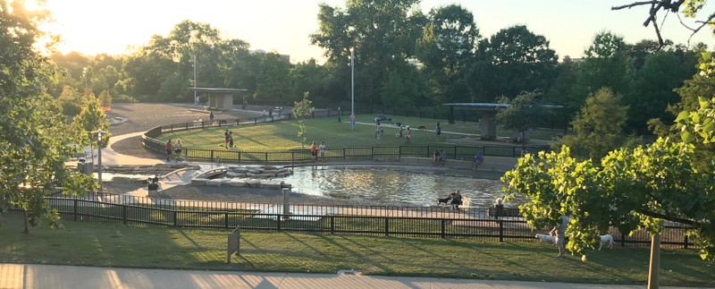 Johnny Steele Dog Park photo