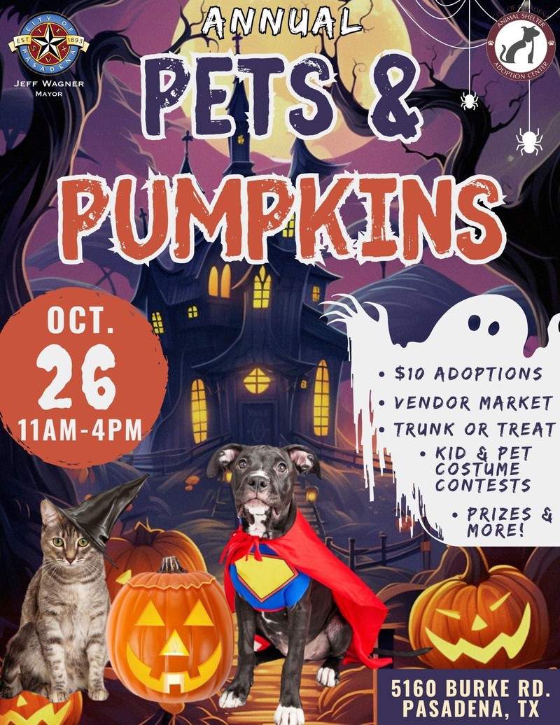 Pets and Pumpkins banner