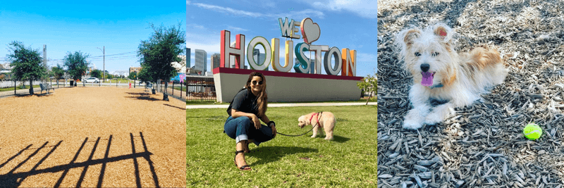 EaDog photos depicting the dog park, a Houston sign, and a cute dog