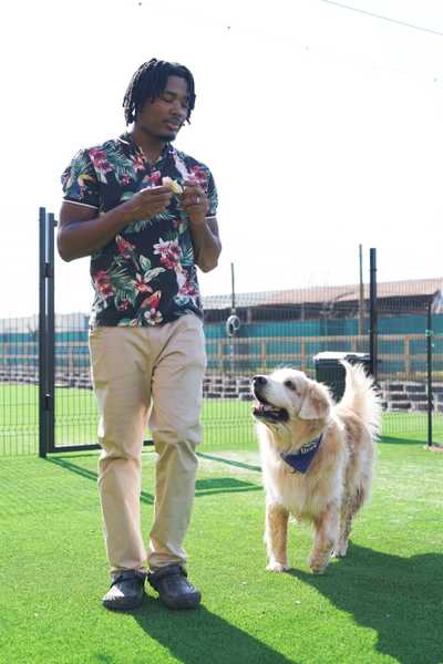 Man with golden retriever at the park