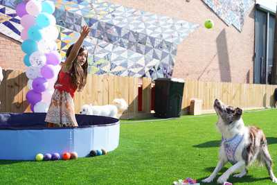 Girl playing with dog by the splash zone