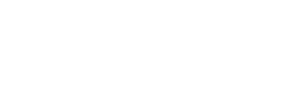 White Zoomies logo