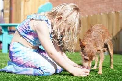 Girl feeding her pup at a Zoomies event