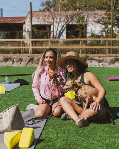 Friends with their dogs at Zoomies