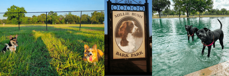 Photos of Millie Bush Bark Park with cute dogs playing and a sign