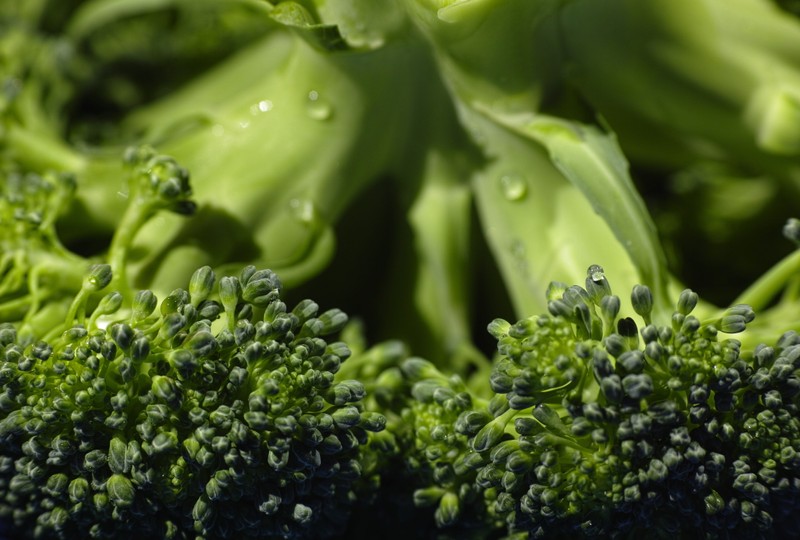 Photograph of steamed broccoli